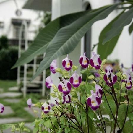 Hasayaki Homestay Sanxing Zewnętrze zdjęcie