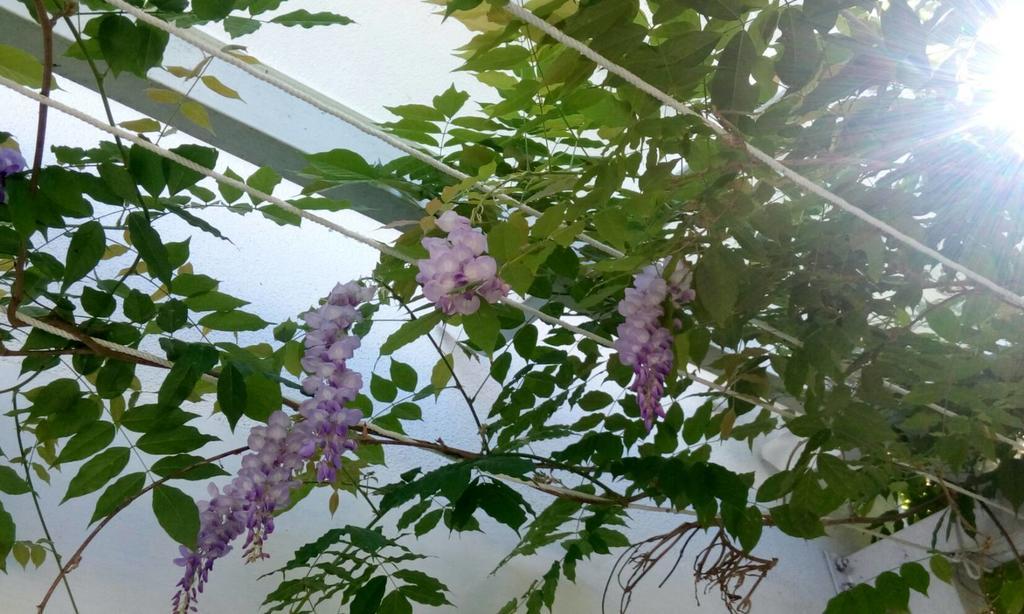 Hasayaki Homestay Sanxing Zewnętrze zdjęcie